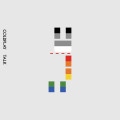 Coldplay - Talk